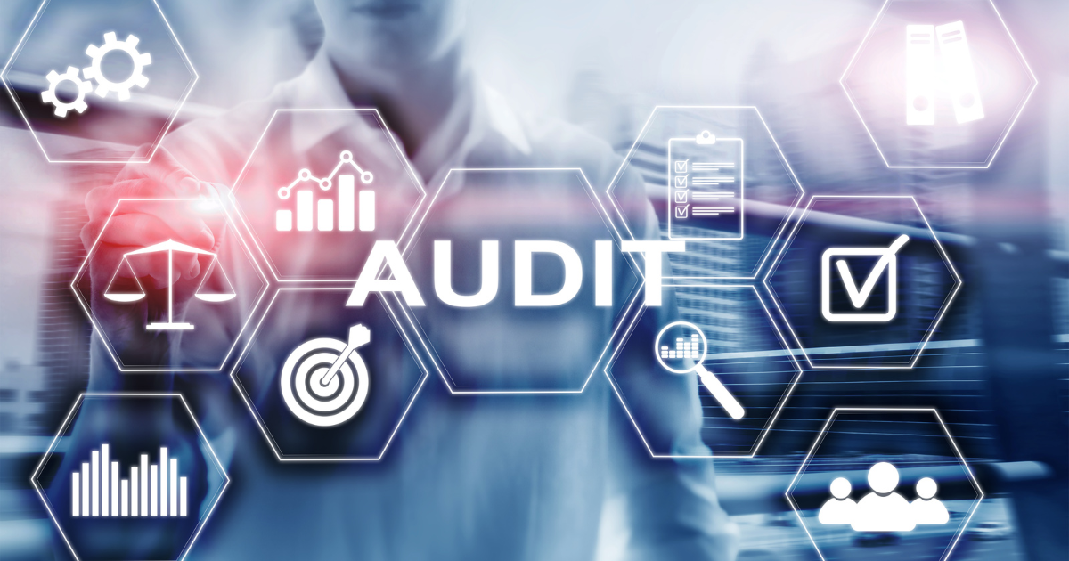 business mobile audit